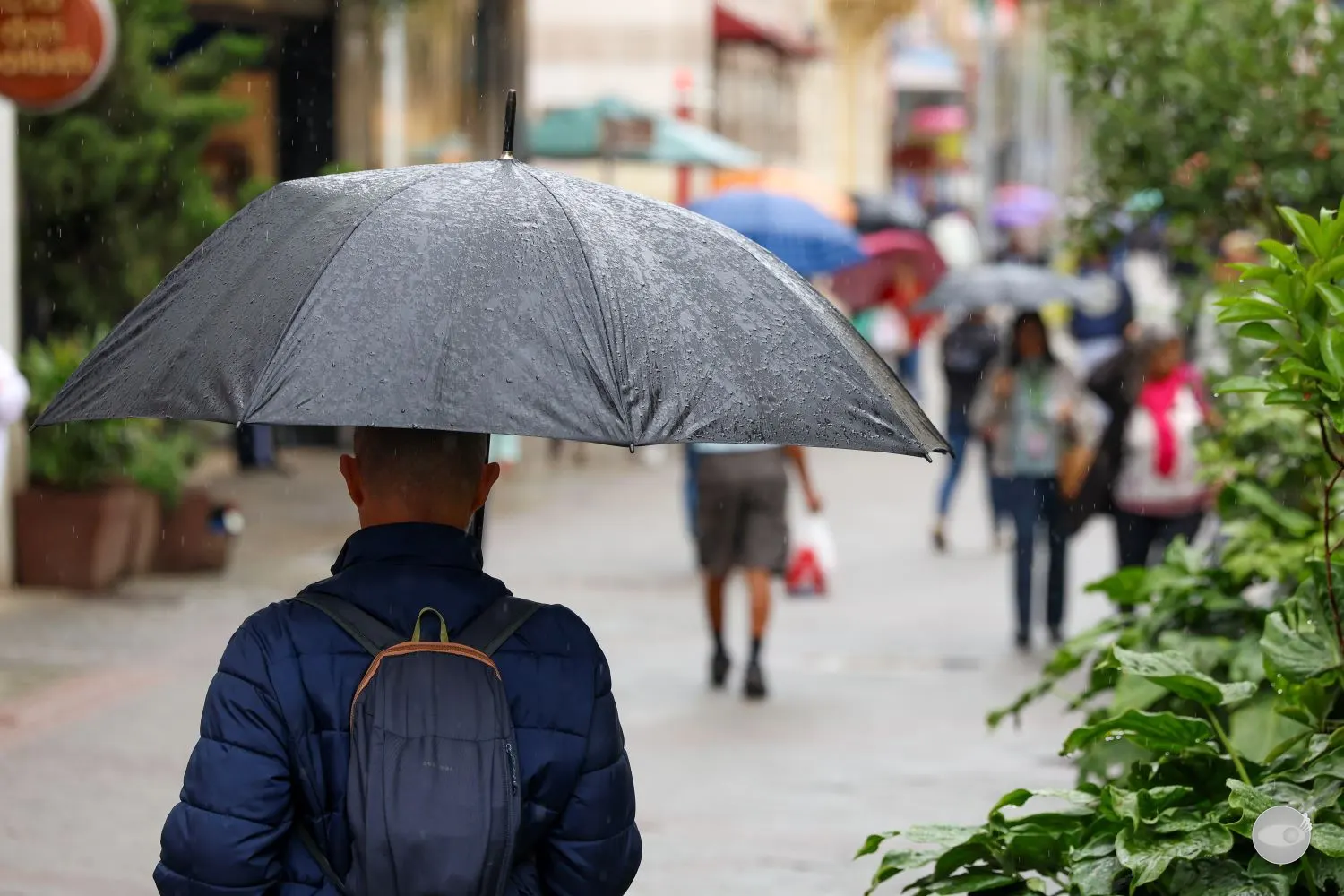 Previsão indica chuvas frequentes e calor mais intenso em SC até janeiro