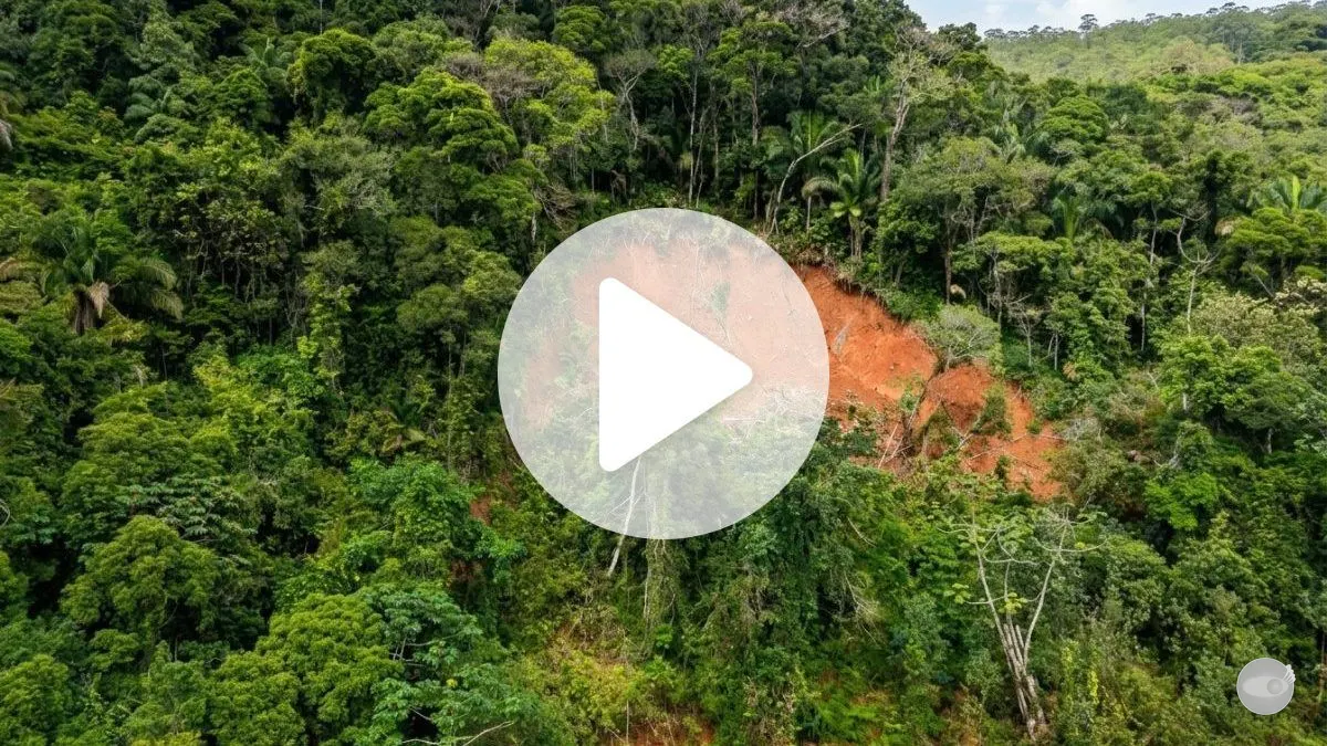 Deslizamento de terra leva 12 famílias a deixar casas em Apiúna
