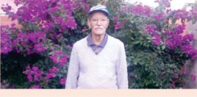 ADELINO DA SILVA