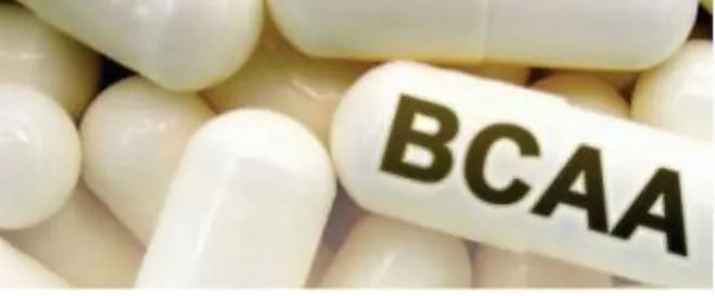 BCAA e ganho de massa muscular