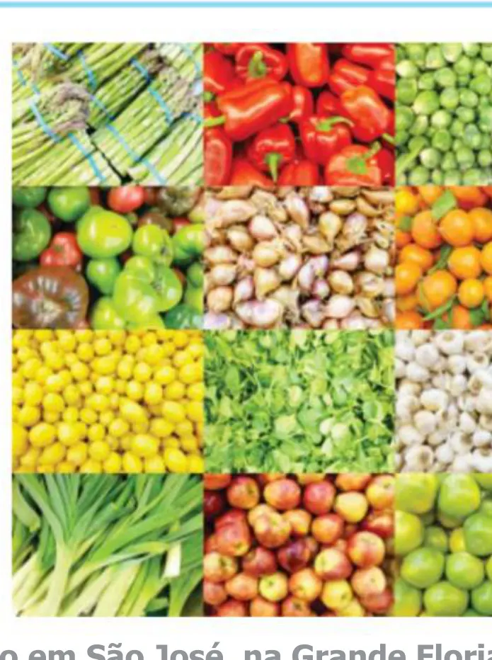 Oficinas regionais discutem consolidação do sistema nacional de segurança alimentar e nutricional