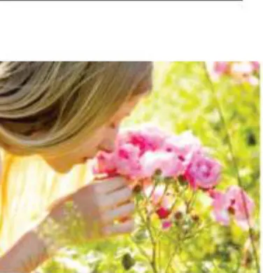 A Primavera e toda sua energia