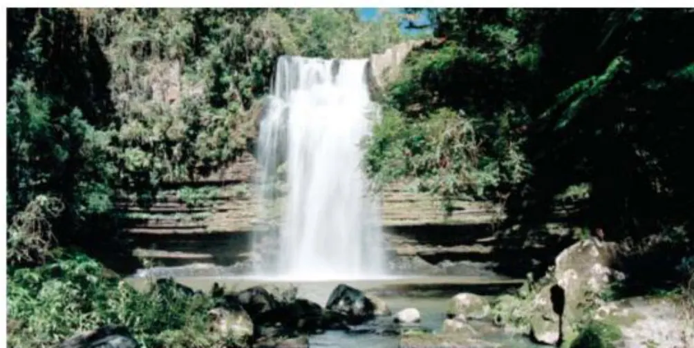 Riquezas Naturais de Apiúna