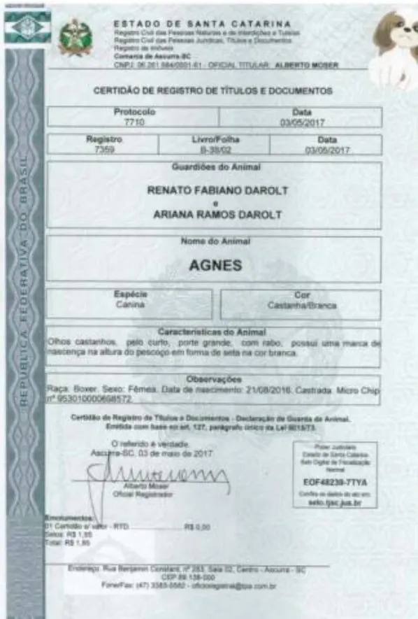 Apiúna tem seu primeiro animal de estimação registrado em Cartório