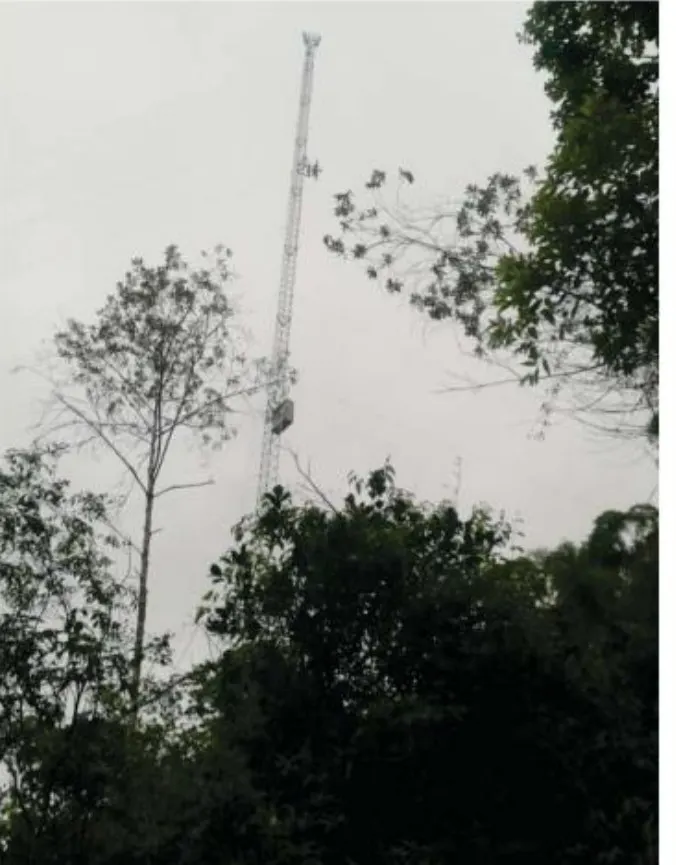 Telefonia fixa e internet, realidade na área rural do município de Apiúna