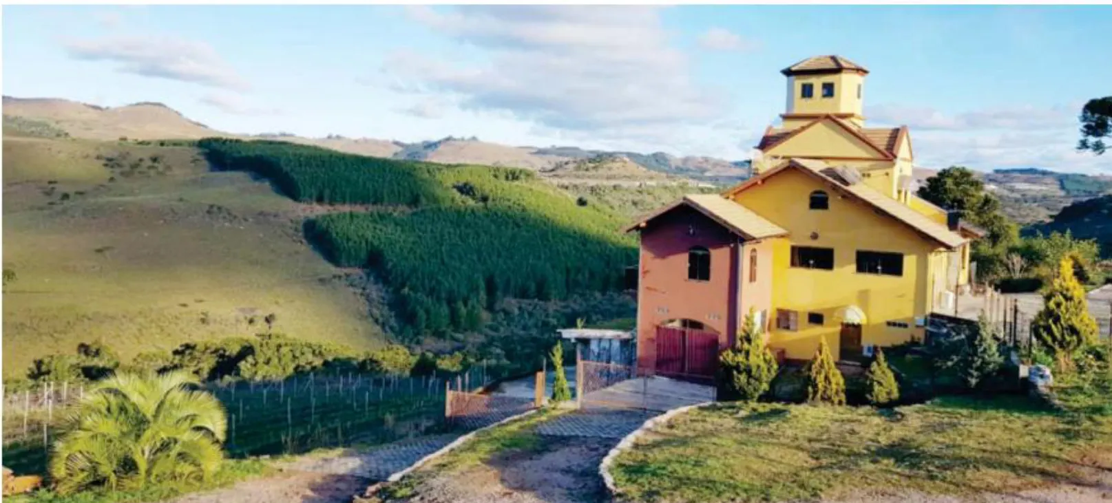 O sonho e a paixão pelo vinho levam a Serra Catarinense