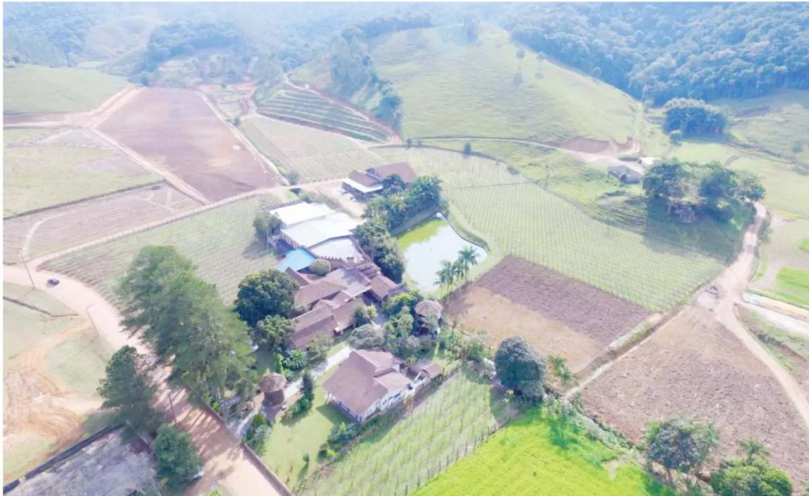 Festa Del Ghebo