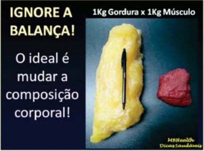 Dicas rápidas para perda de gordura