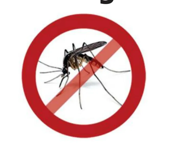 Todos contra a Dengue - ensinando através da música