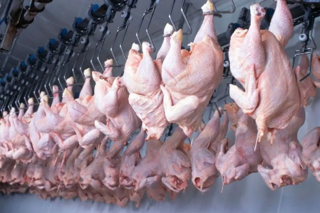 União Europeia restrigi carne brasileira e ameaça R$ 880 milhões em exportações de Santa Catarina