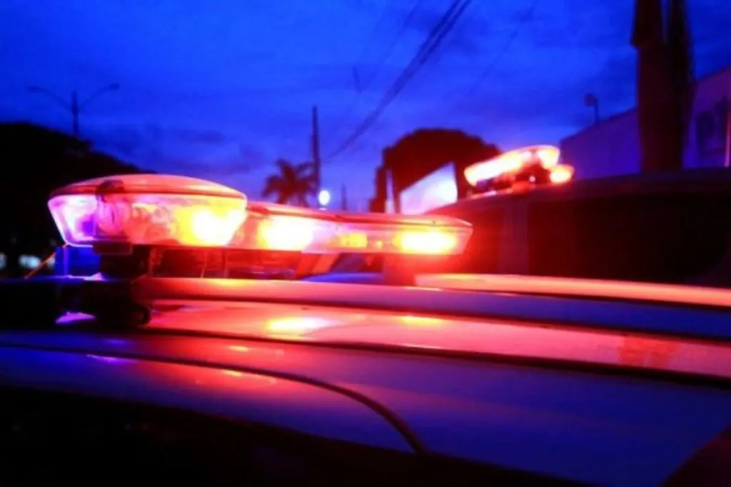Cachorra salva tutora de tentativa de feminicídio em Blumenau