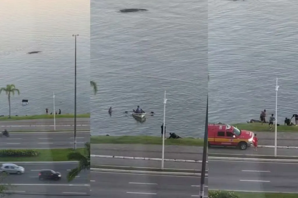 Carro cai no mar da Avenida Beira-Mar Norte após acidente em Florianópolis