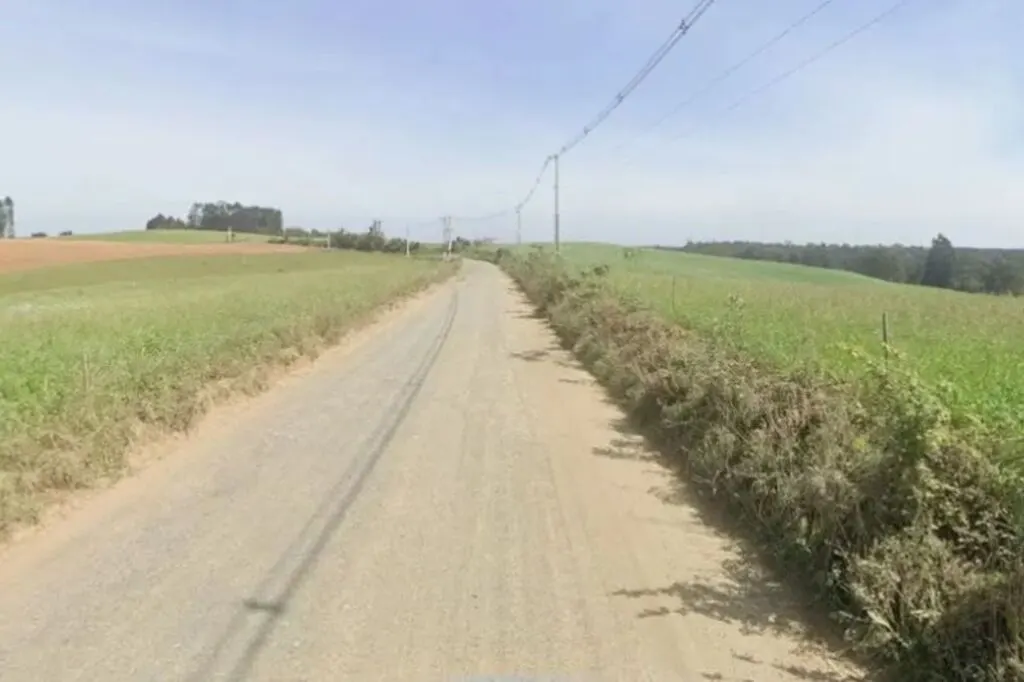 Lavoura de milho em Mafra é palco de assassinato brutal com golpes de machado